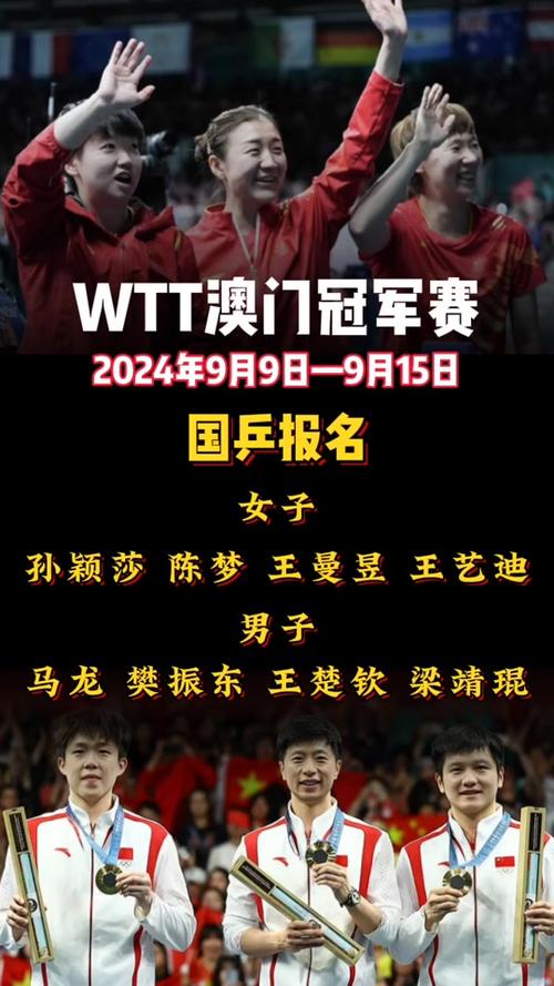 2024年澳门最精准免费资料,设计策略快速解答_整版DKJ656.74