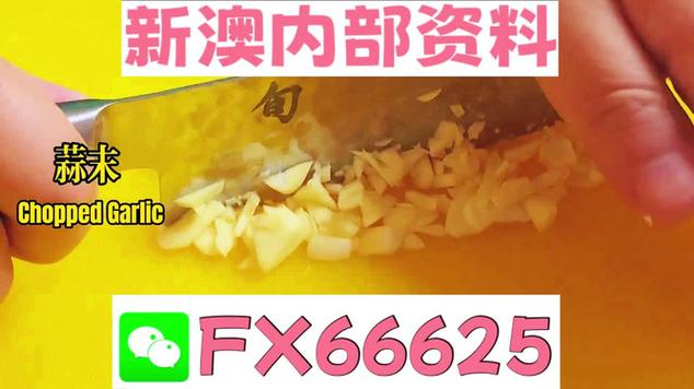 澳门精准正版资料免费公开,设计策略快速解答_整版DKJ656.74