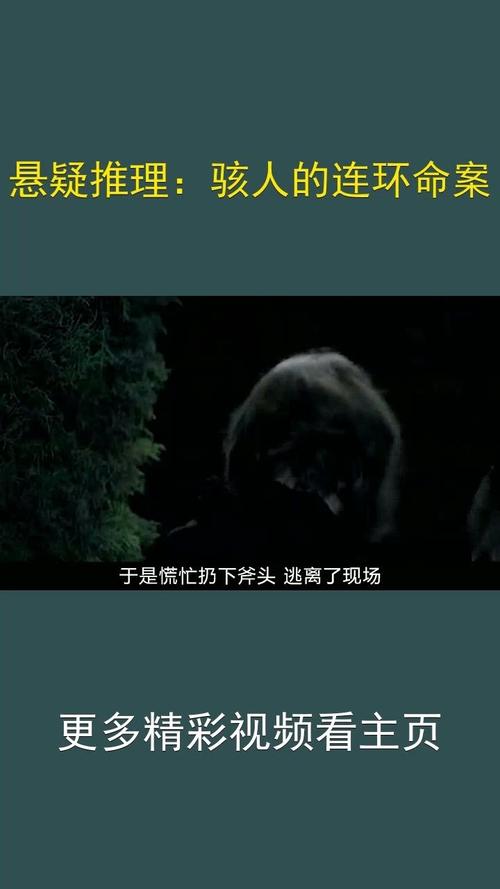 888影视网剧情篇大全,绝对策略计划研究_社交版40.12.0