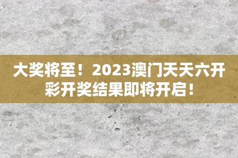 澳门天天彩正版免费全年资料特色,设计策略快速解答_VR型43.237