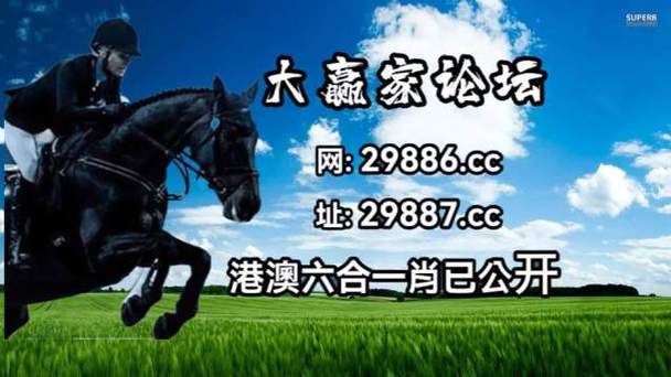 2021年澳门正版免费资料167,设计策略快速解答_VR型43.237