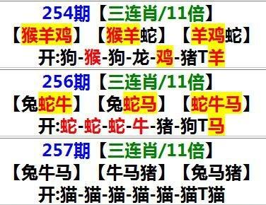 2024年澳门资料精准