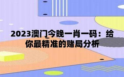 澳门2023精准资料全年免费,设计策略快速解答_整版DKJ656.74