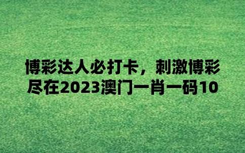 澳门一肖一码必中一肖213期,设计策略快速解答_整版DKJ656.74