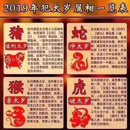 最新版2024十二生肖表,绝对策略计划研究_社交版40.12.0