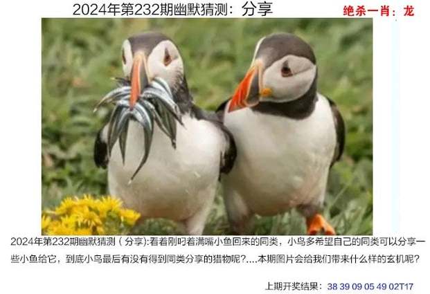 2024澳门特马今晚开奖图片及价格表,真实经典策略设计_VR型43.237