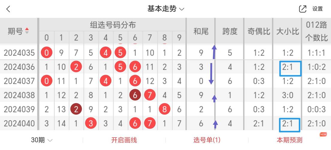 五码复式预测高手